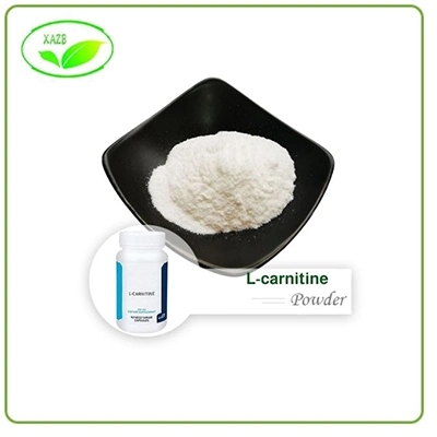 l-carnitine pure powder